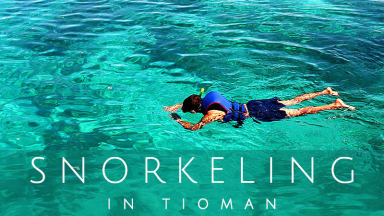 Snorkeler exploring vibrant coral reefs and marine life in crystal clear waters at Tioman Island